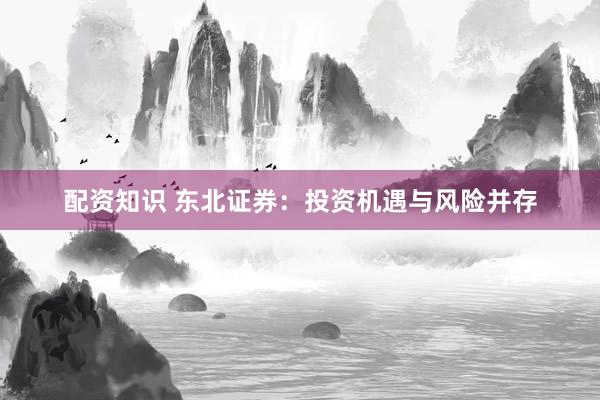 配资知识 东北证券：投资机遇与风险并存