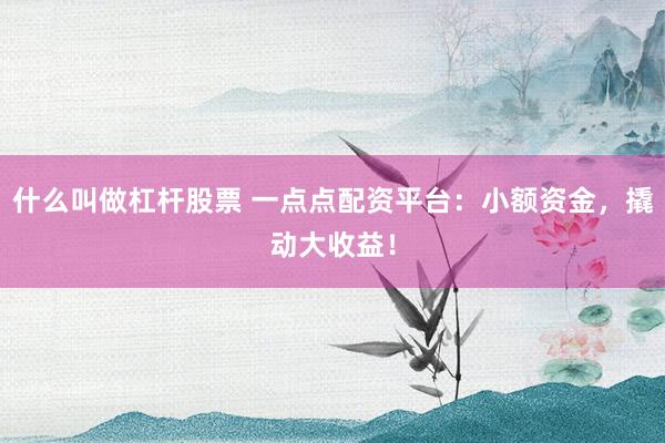 什么叫做杠杆股票 一点点配资平台：小额资金，撬动大收益！