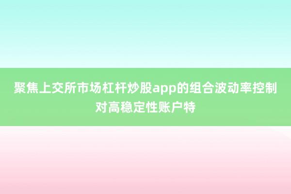 聚焦上交所市场杠杆炒股app的组合波动率控制对高稳定性账户特