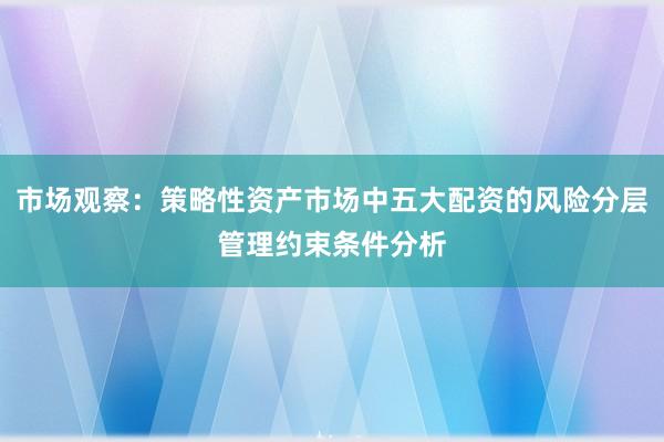 市场观察：策略性资产市场中五大配资的风险分层管理约束条件分析