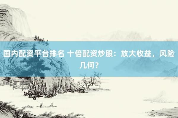 国内配资平台排名 十倍配资炒股：放大收益，风险几何？